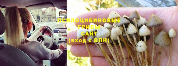 соль ск Абаза