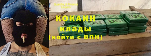 соль ск Абаза
