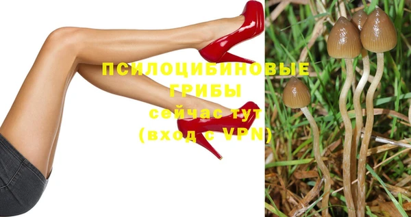 соль ск Абаза